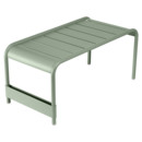 Banc / Grande table basse Luxembourg , Cactus