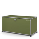 Meuble bas Lowboard M USM Haller avec porte abattante, Vert olive RAL 6003