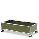 USM Haller boîte à roulettes, Vert olive RAL 6003, Souples pour sols durs