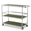 USM Haller chariot bar Type III, Vert olive RAL 6003, Durs pour tapis