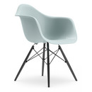 Eames Plastic Armchair RE DAW, Gris bleuté, Sans rembourrage, Sans rembourrage, Version standard - 43 cm, Érable noir