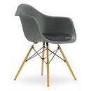 Eames Plastic Armchair RE DAW, Gris granit, Avec coussin d'assise, Gris foncé, Version standard - 43 cm, Érable nuance de jaune