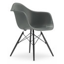 Eames Plastic Armchair RE DAW, Gris granit, Sans rembourrage, Sans rembourrage, Version standard - 43 cm, Érable noir