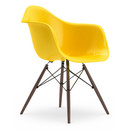 Eames Plastic Armchair RE DAW, Sunlight, Sans rembourrage, Sans rembourrage, Version standard - 43 cm, Érable foncé