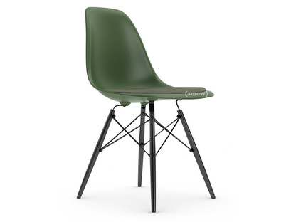 Eames Plastic Side Chair RE DSW Forêt|Avec coussin d'assise|Ivoire / forêt|Version standard - 43 cm|Érable noir