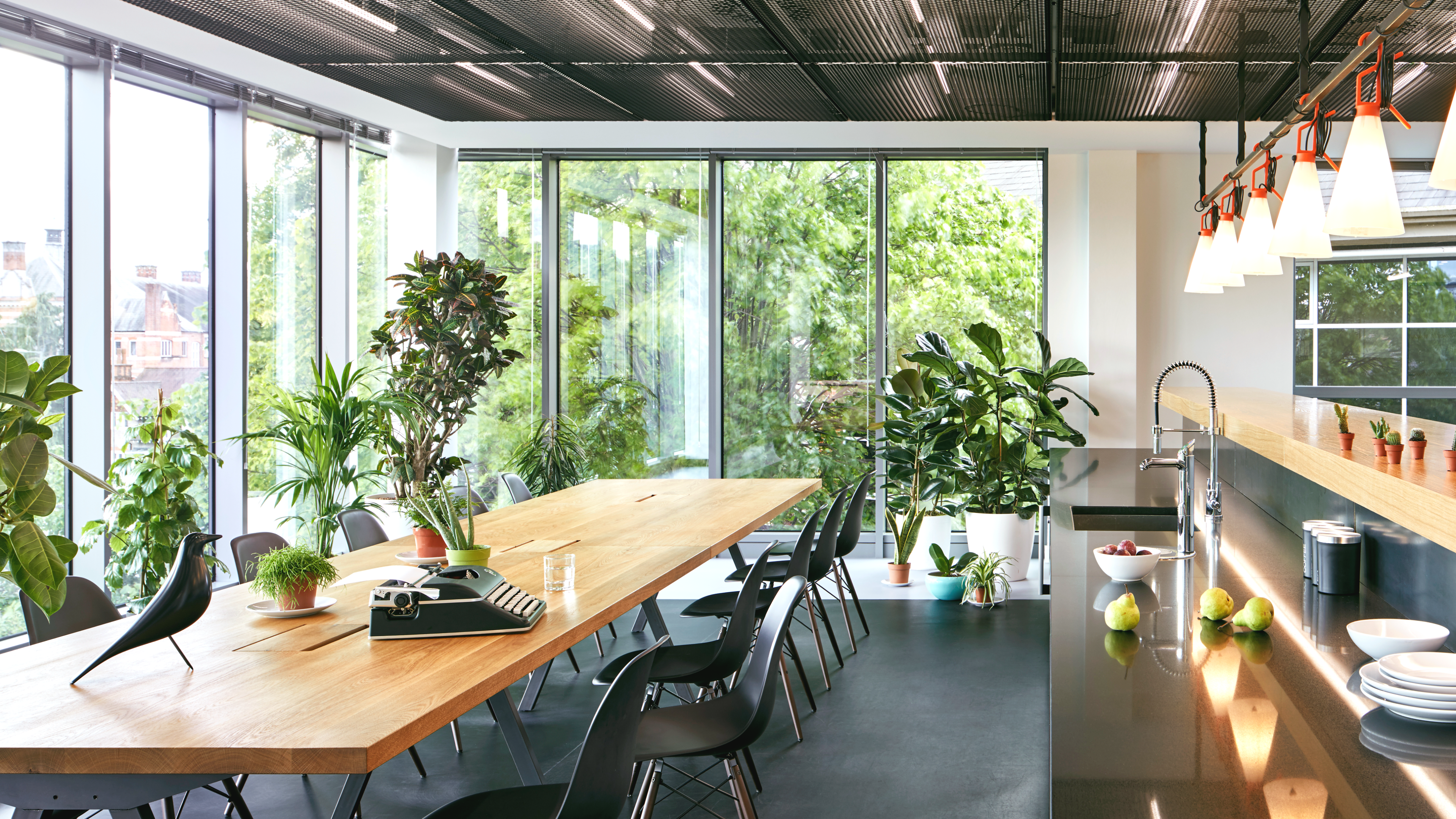 Green is the new Black: Oasis verte au bureau
