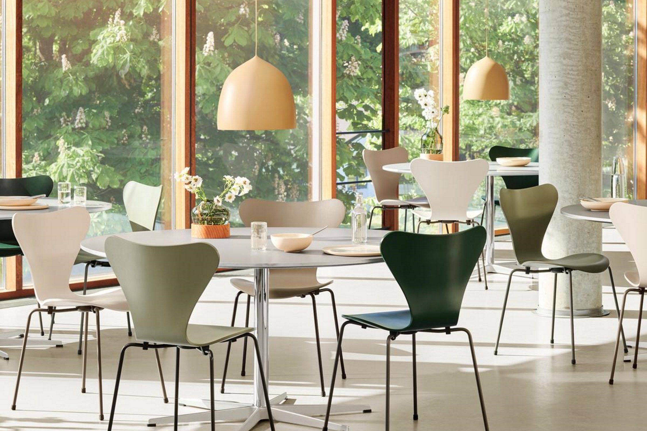 Chaises serie 7 Fritz Hansen cafétéria