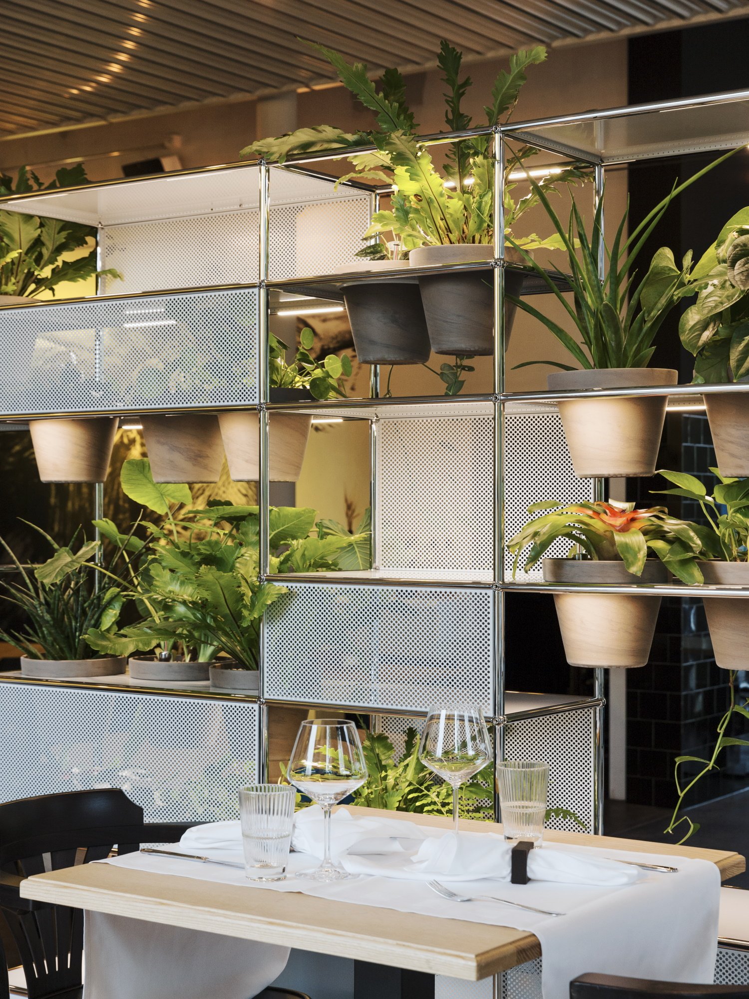 Étagère USM avec plantes vertes