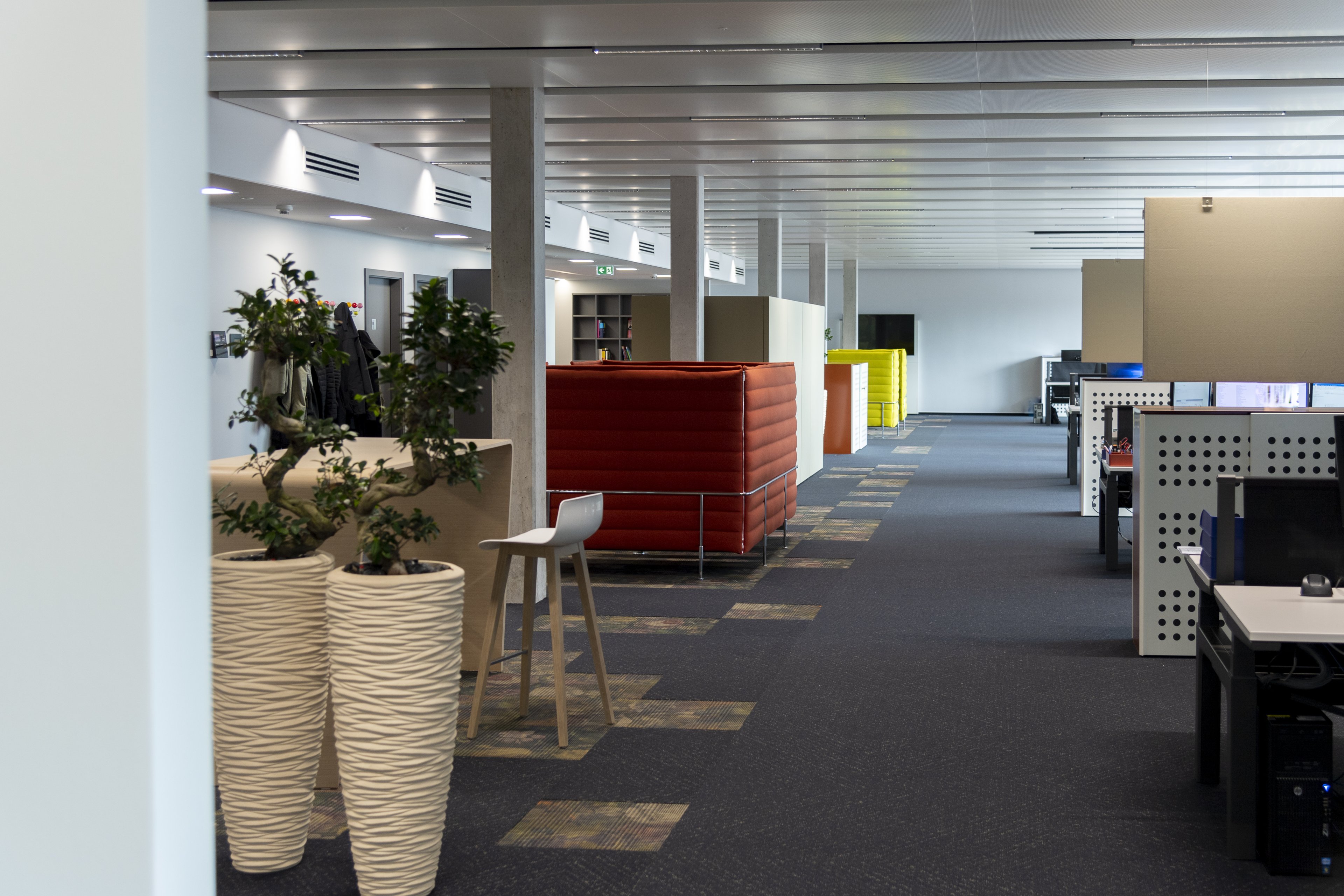 Concept global VMR GmbH, Mönchweiler