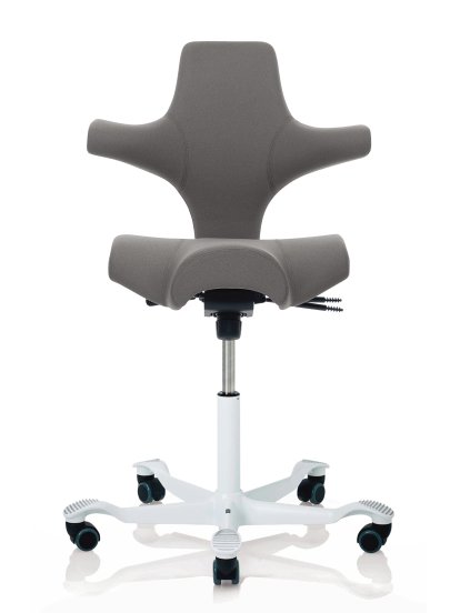 Capisco 8106, Xtreme gris, Blanc