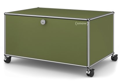 Meuble bas Lowboard TV sur roulettes USM Haller, Avec porte abattante et paroi arrière, Vert olive RAL 6003