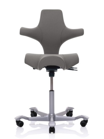 Capisco 8106, Xtreme gris, Argent